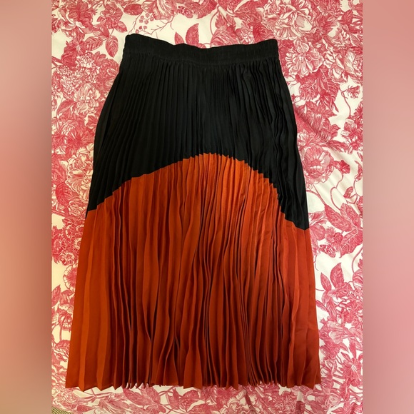 Zara Pleated Skirt - Picture 1 of 1